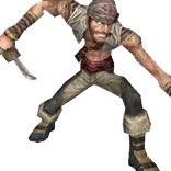 Pirate Brigand